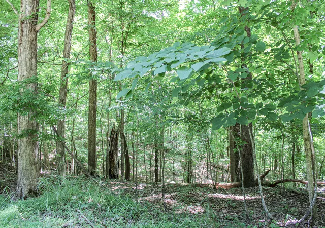 Homes for sale in Eddyville, KY | 0 Algonquin Rd, Eddyville, KY 42038 | MLS# 26017375