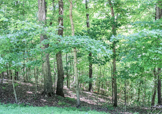 Homes for sale in Eddyville, KY | 0 Algonquin Rd, Eddyville, KY 42038 | MLS# 26017375