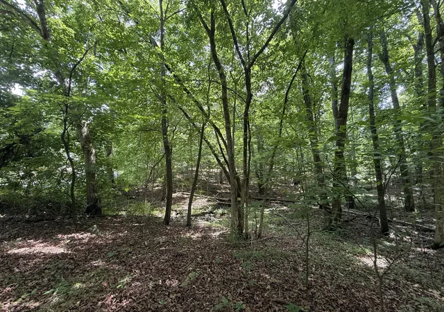 Homes for sale in New Concord, KY | 000 Waterway Trl #Lot 70B - Keniana Lake Shore, New Concord, KY 42076 | MLS# 26016642
