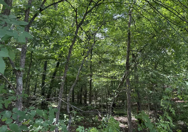 Homes for sale in New Concord, KY | 000 Waterway Trl #Lot 70B - Keniana Lake Shore, New Concord, KY 42076 | MLS# 26016642