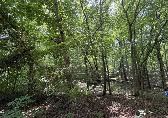 Homes for sale in New Concord, KY | 000 Waterway Trl #Lot 70B - Keniana Lake Shore, New Concord, KY 42076 | MLS# 26016642