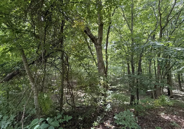 Homes for sale in New Concord, KY | 000 Waterway Trl #Lot 70B - Keniana Lake Shore, New Concord, KY 42076 | MLS# 26016642