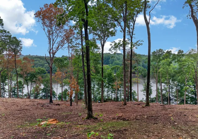 Homes for sale in Eddyville, KY | Lot 12 Elwood Road, Eddyville, KY 42038 | MLS# 26016679