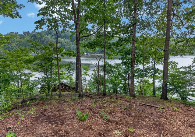 Homes for sale in Eddyville, KY | Lot 12 Elwood Road, Eddyville, KY 42038 | MLS# 26016679