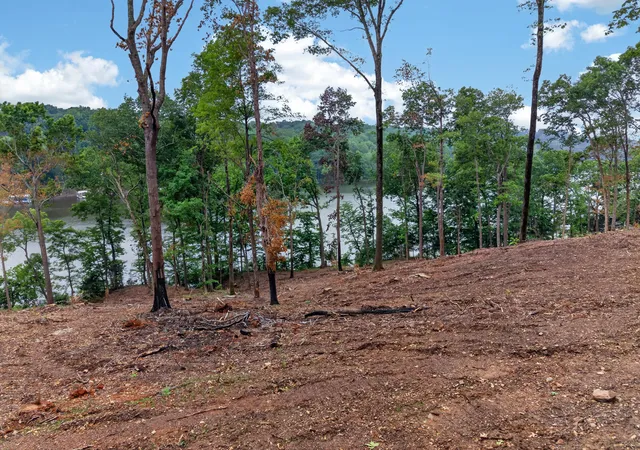Homes for sale in Eddyville, KY | Lot 12 Elwood Road, Eddyville, KY 42038 | MLS# 26016679