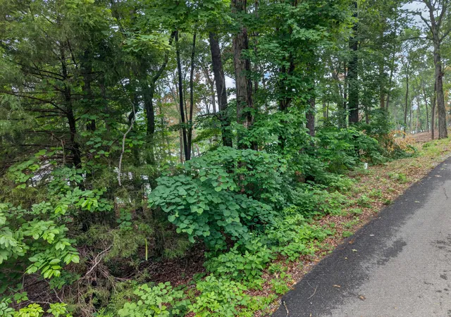 Homes for sale in Eddyville, KY | Lot 14 Elwood Road, Eddyville, KY 42038 | MLS# 26016687