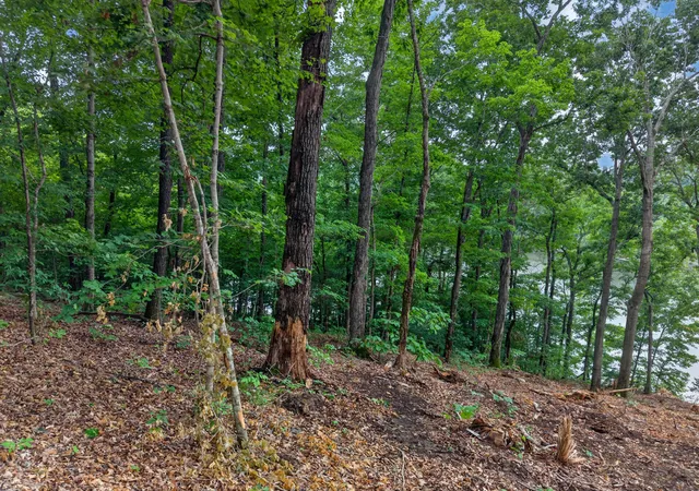 Homes for sale in Eddyville, KY | Lot 14 Elwood Road, Eddyville, KY 42038 | MLS# 26016687