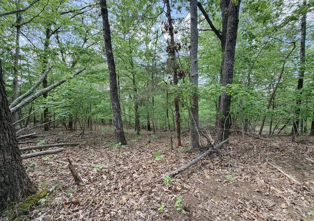 Homes for sale in Princeton, KY | 406 Lakewood Rd #Tract 3, Princeton, KY 42445 | MLS# 26016705