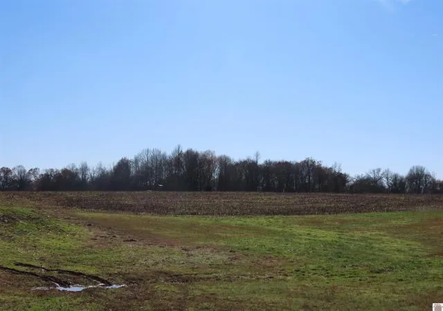 Homes for sale in Wingo, KY | St Rt 45 S Boyd, Wingo, KY 42088 | MLS# 26016758