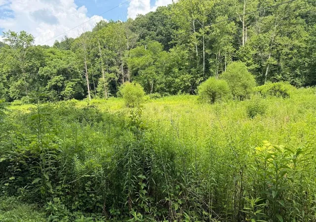Homes for sale in Denniston, KY | 00 Meyers Fork Rd, Denniston, KY 40316 | MLS# 26016765
