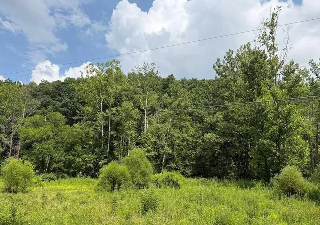 Homes for sale in Denniston, KY | 00 Meyers Fork Rd, Denniston, KY 40316 | MLS# 26016765