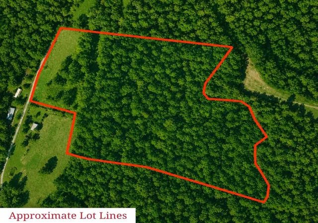 Homes for sale in Denniston, KY | 00 Meyers Fork Rd, Denniston, KY 40316 | MLS# 26016765
