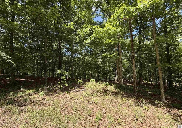 Homes for sale in New Concord, KY | 00 Daniel Ln Ln, New Concord, KY 42076 | MLS# 26016782