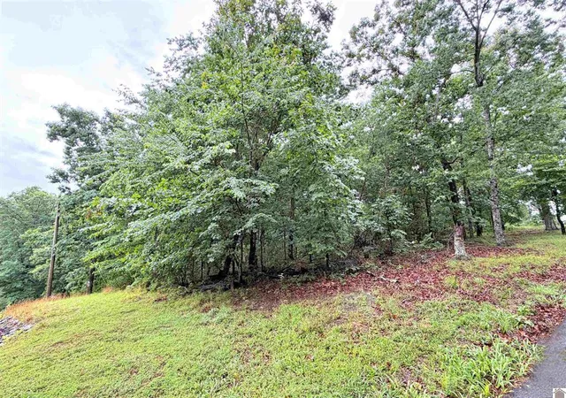 Homes for sale in New Concord, KY | 00 Daniel Ln Ln, New Concord, KY 42076 | MLS# 26016782