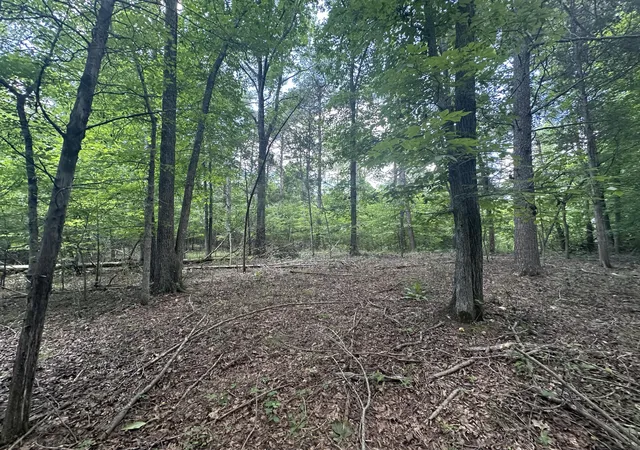 Homes for sale in Princeton, KY | 9999 Cannon Rd, Princeton, KY 42445 | MLS# 26016844