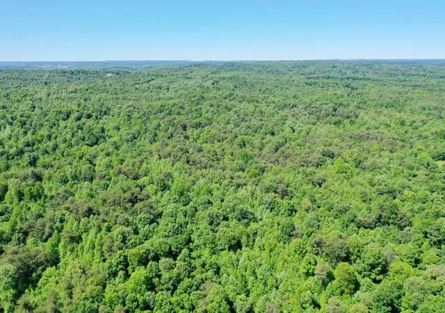 Homes for sale in Princeton, KY | 9999 Cannon Rd, Princeton, KY 42445 | MLS# 26016844