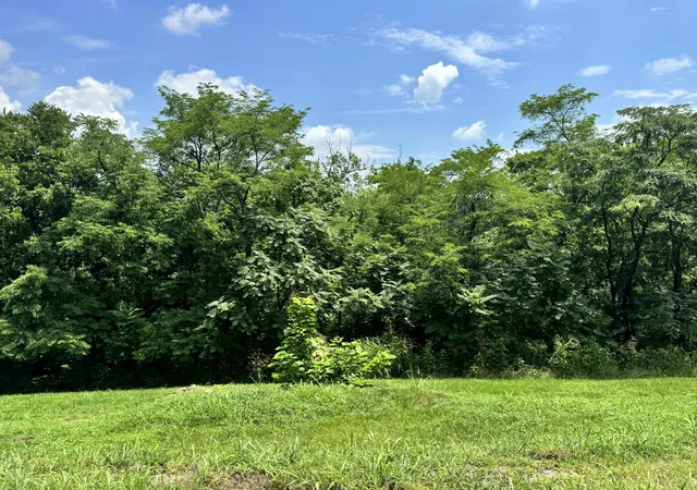 Homes for sale in Frankfort, KY | 501 Clifton Ave, Frankfort, KY 40601 | MLS# 26017695