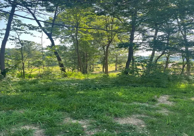 Photo 3 of Land for sale at 240 Forest Ridge Dr, Paducah, KY 42003 | MLS# 26018872 | Listing updated on 2026-07-17