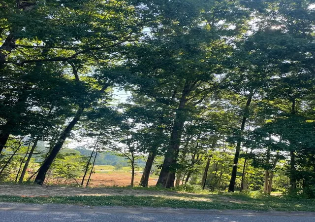 Photo 3 of Land for sale at 280 Forest Ridge Dr, Paducah, KY 42003 | MLS# 26018869 | Listing updated on 2026-07-17