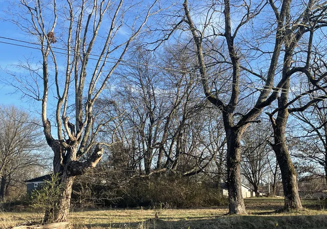 Photo 4 of Land for sale at 521 S 4th Street, Murray, KY 42071 | MLS# 26017145 | Listing updated on 2026-07-09