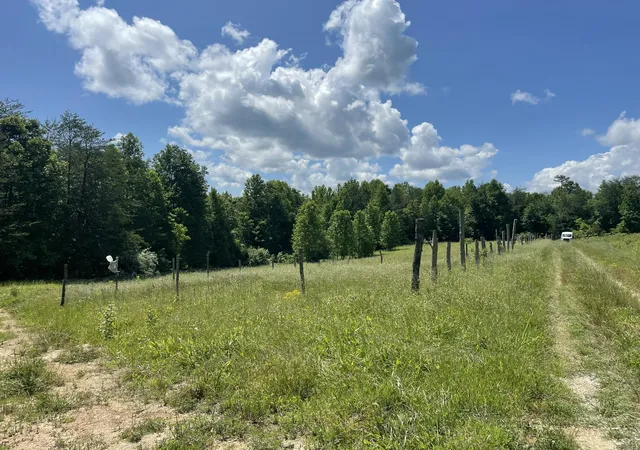 Photo 4 of Land for sale at 1292 White Oak Rd #7, Williamsburg, KY 40769 | MLS# 26017256 | Listing updated on 2026-08-24