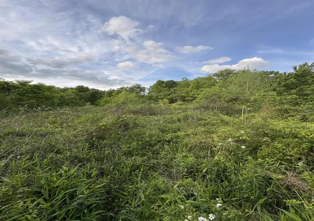 2nd image of 001 Fence Rd, London, KY 40741 | MLS# 26017277