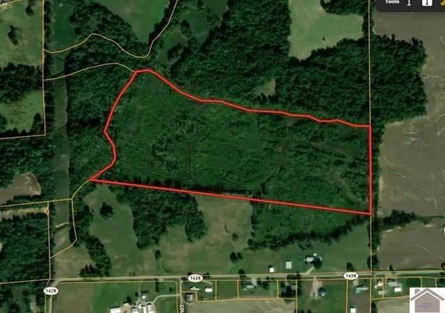 Homes for sale in Bardwell, KY | 115 County Road 1039, Bardwell, KY 42023 | MLS# 26017472