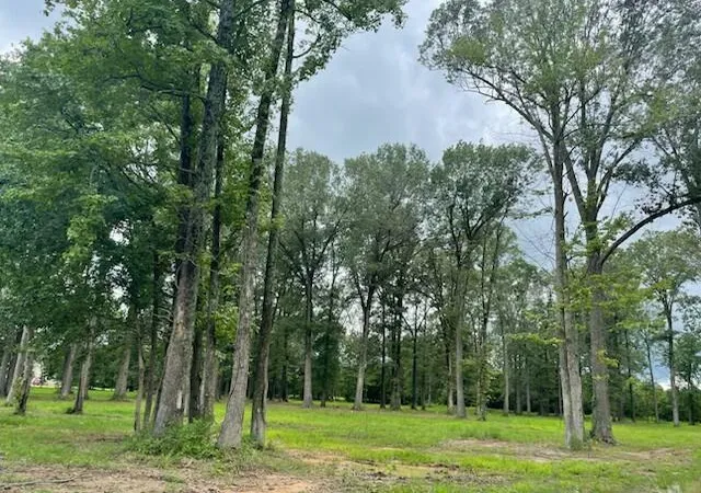 Photo 1 of Land for sale at 2620 Allison Dr, Paducah, KY 42003 | MLS# 26018747 | Listing updated on 2026-07-31