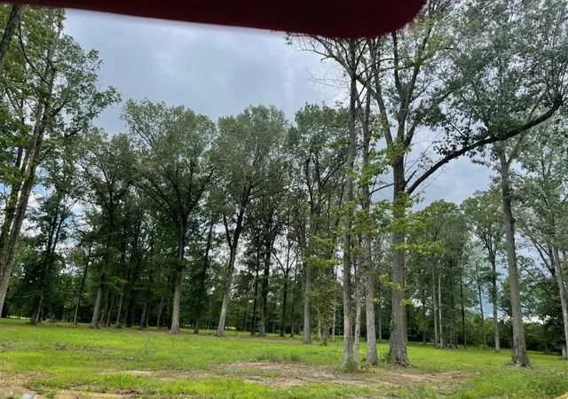 Photo 2 of Land for sale at 2630 Allison Dr, Paducah, KY 42003 | MLS# 26018748 | Listing updated on 2026-07-31