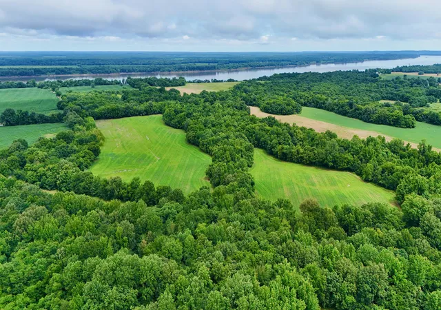 Homes for sale in Ledbetter, KY | 00 Gillahan Rd #1b, Ledbetter, KY 42058 | MLS# 26017345