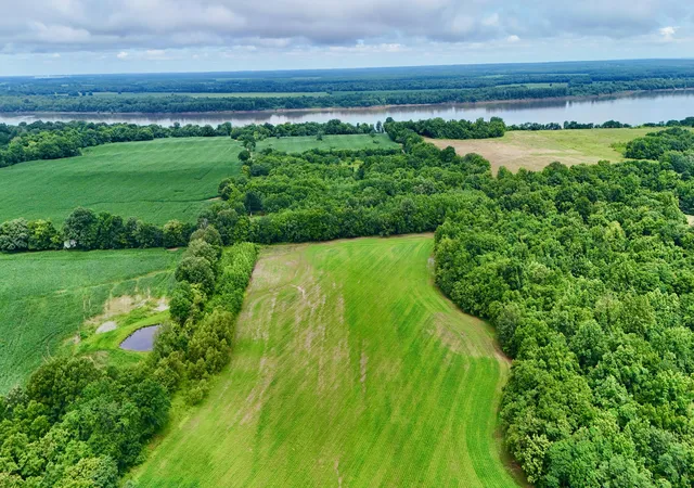Homes for sale in Ledbetter, KY | 00 Gillahan Rd #1b, Ledbetter, KY 42058 | MLS# 26017345