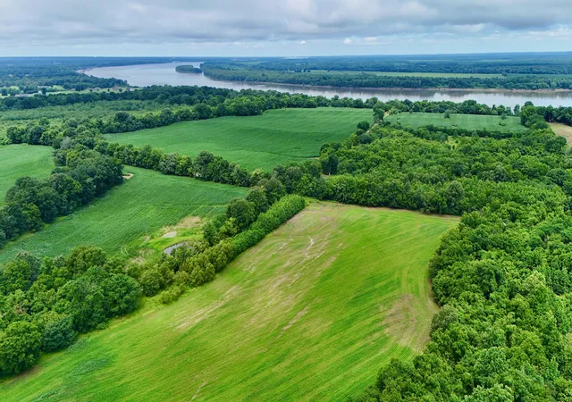 Homes for sale in Ledbetter, KY | 00 Gillahan Rd #1b, Ledbetter, KY 42058 | MLS# 26017345
