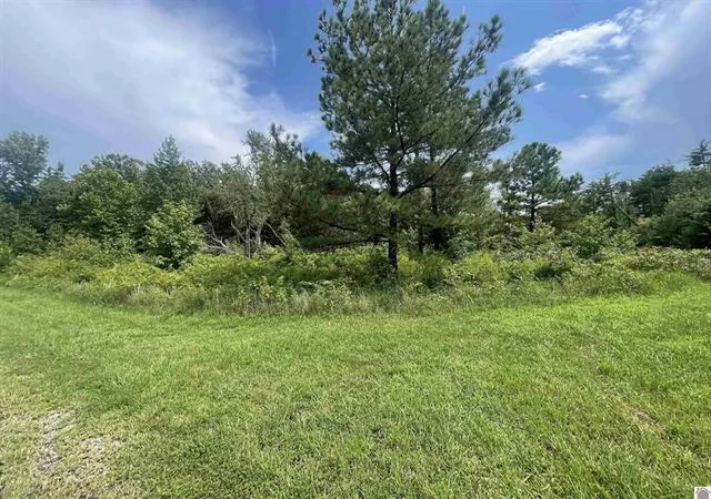Land for sale at Lot #3 0 Deepwood Dr, Murray, KY 42071 | MLS# 26017392