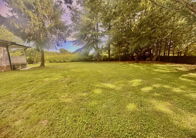 Homes for sale in Liberty, KY | 163 Holly Hock Dr, Liberty, KY 42539 | MLS# 26017813