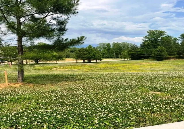 Photo 4 of Land for sale at 295 Hidden Valley Dr, Paducah, KY 42003 | MLS# 26018657 | Listing updated on 2026-07-16