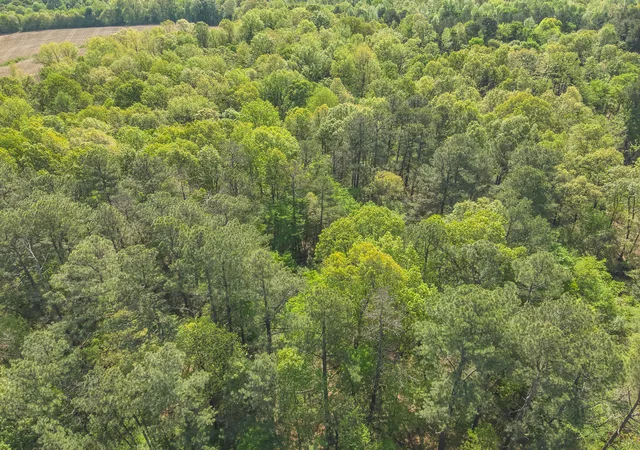 Photo 4 of Land for sale at 999 Housman Rd, Boaz, KY 42027 | MLS# 26017500 | Listing updated on 2026-08-31