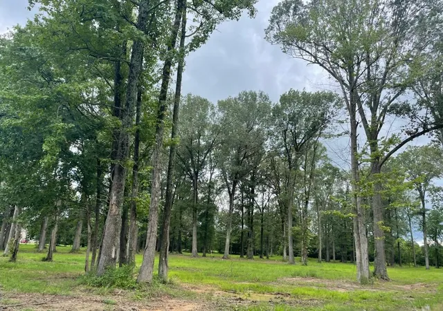 Photo 1 of Land for sale at 2625 Neal Dr, Paducah, KY 42003 | MLS# 26018708 | Listing updated on 2026-07-31