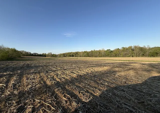Homes for sale in Mayfield, KY | 0 Carter Rd, Mayfield, KY 42066 | MLS# 26017522