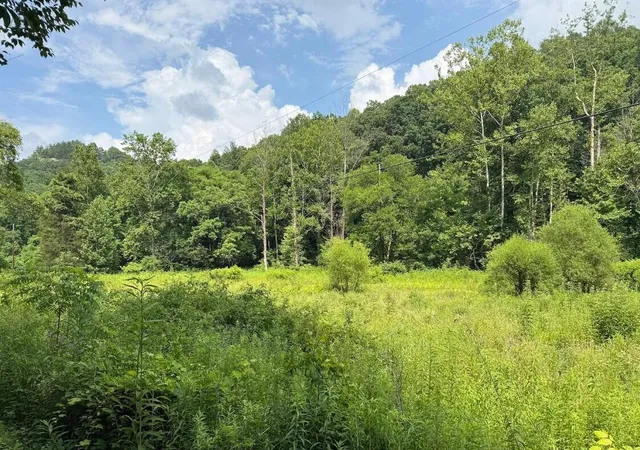 Homes for sale in Denniston, KY | 0 Meyers Fork Rd, Denniston, KY 40316 | MLS# 26017529