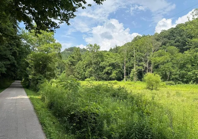 Homes for sale in Denniston, KY | 0 Meyers Fork Rd, Denniston, KY 40316 | MLS# 26017529