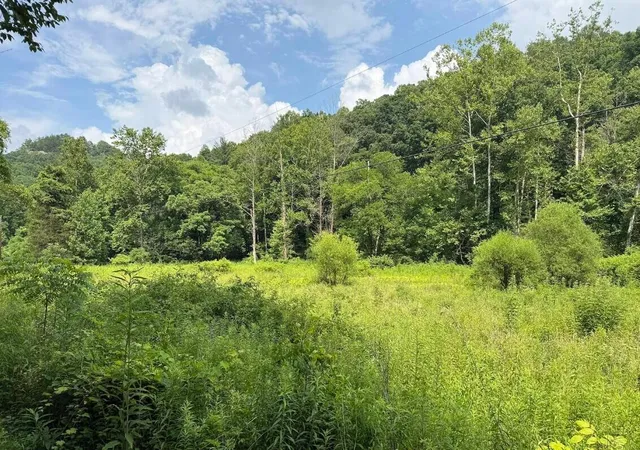 Homes for sale in Denniston, KY | 0 Meyers Fork Rd, Denniston, KY 40316 | MLS# 26017529