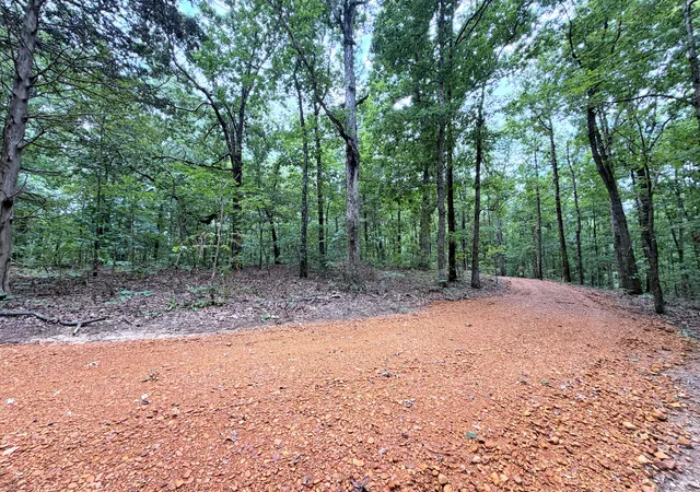 Homes for sale in New Concord, KY | 096 D 0002 Beat Farmer Rd, New Concord, KY 42076 | MLS# 26017552