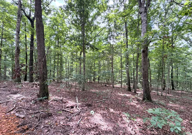 Homes for sale in New Concord, KY | 096 D 0002 Beat Farmer Rd, New Concord, KY 42076 | MLS# 26017552