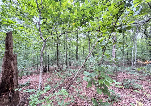 Homes for sale in New Concord, KY | 096-D-0002 Beat Farmer Rd, New Concord, KY 42076 | MLS# 26017552