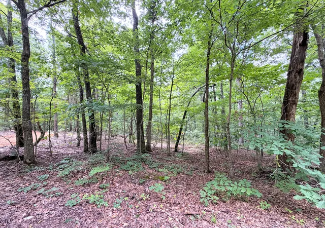 Homes for sale in New Concord, KY | 096-D-0002 Beat Farmer Rd, New Concord, KY 42076 | MLS# 26017552
