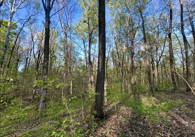 Photo 3 of Land for sale at Lot 14e Commerce Landing Rd, Eddyville, KY 42038 | MLS# 26019358 | Listing updated on 2026-07-21