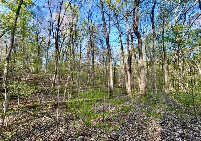 Photo 4 of Land for sale at Lot 14e Commerce Landing Rd, Eddyville, KY 42038 | MLS# 26019358 | Listing updated on 2026-07-21