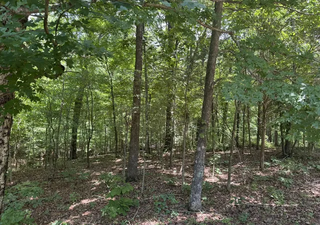Homes for sale in Murray, KY | Lot 7 Woodsong Ln, Murray, KY 42071 | MLS# 26018041