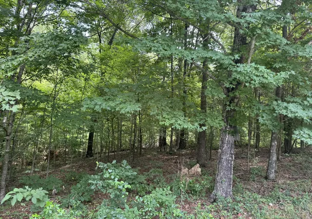 Homes for sale in Murray, KY | Lot 7 Woodsong Ln, Murray, KY 42071 | MLS# 26018041