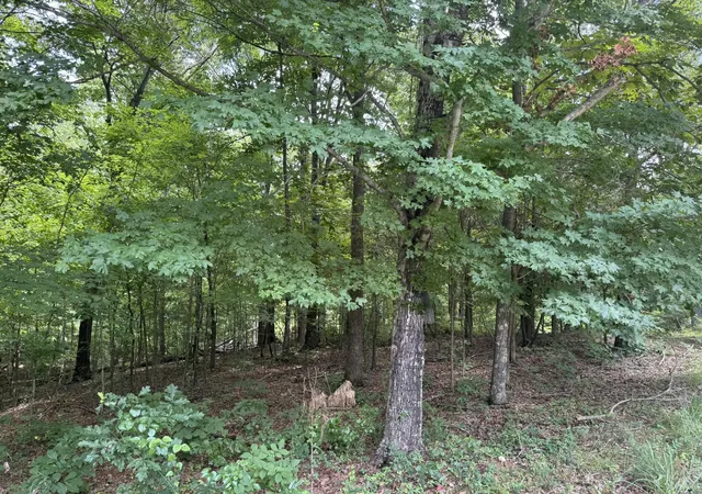 Homes for sale in Murray, KY | Lot 7 Woodsong Ln, Murray, KY 42071 | MLS# 26018041